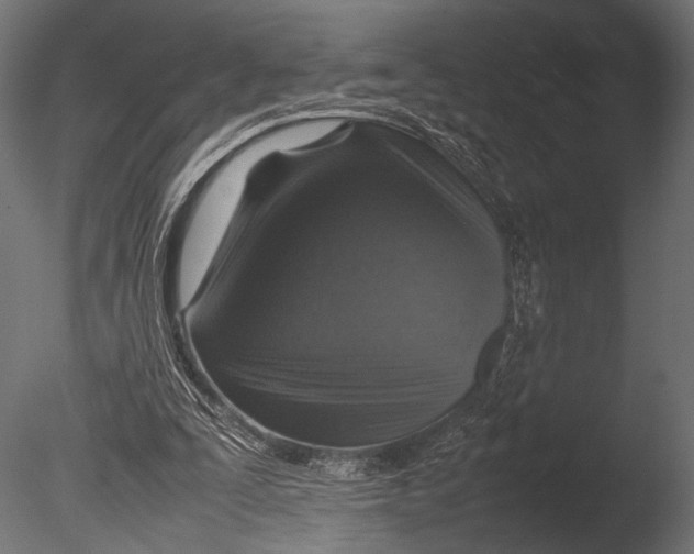 X0000085070295200703261239