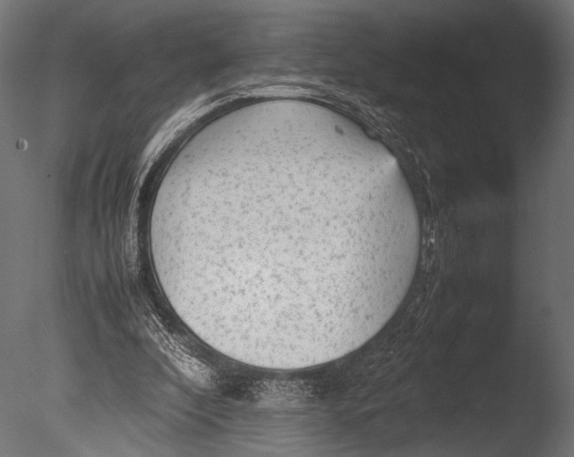 X0000085070296200703261239