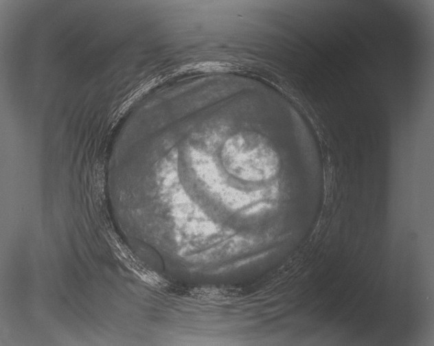 X0000085070297200703261239