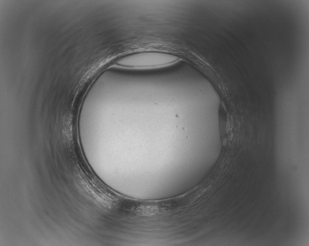 X0000085070298200703261239