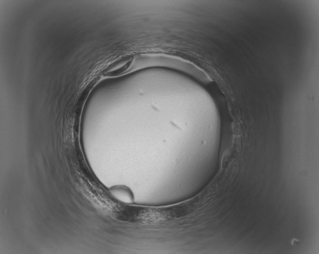 X0000085070299200703261239