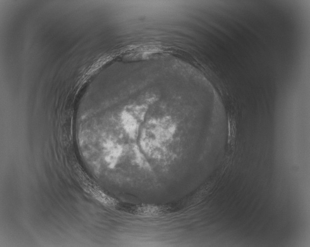 X0000085070301200703261239