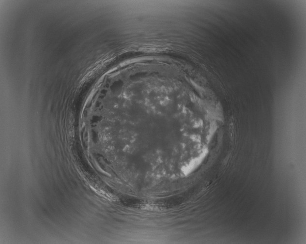 X0000085070303200703261238