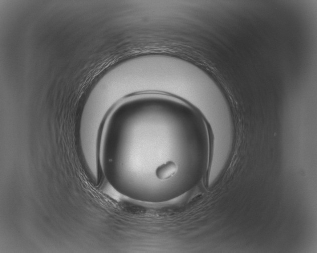 X0000085070305200703261238