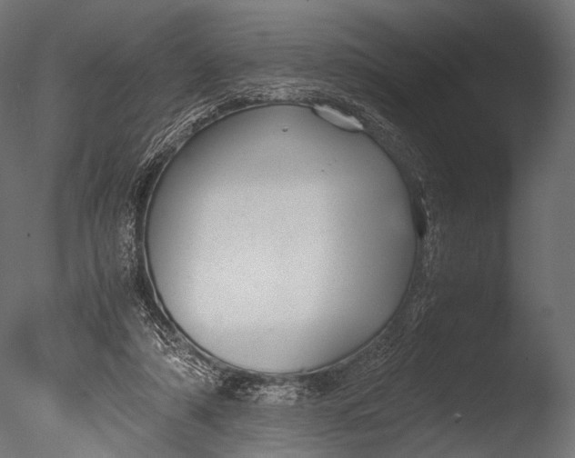 X0000085070306200703261238