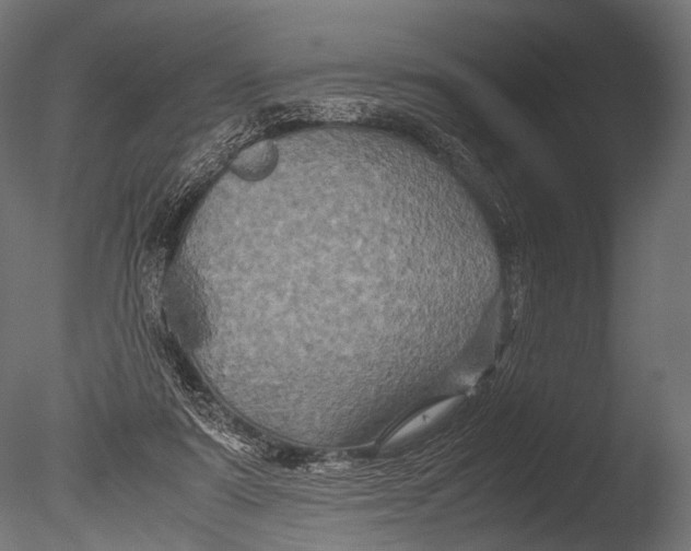 X0000085070307200703261238