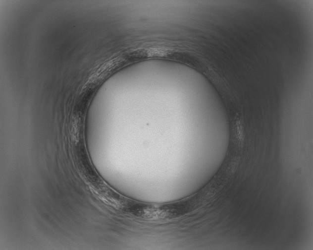 X0000085070311200703261238