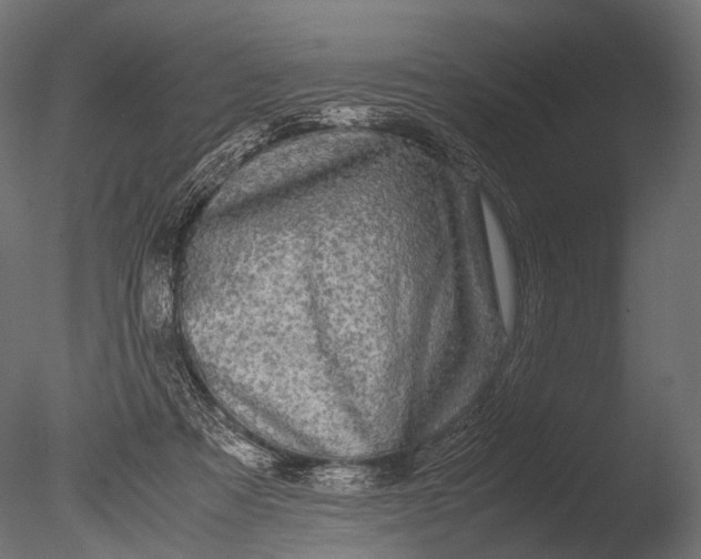 X0000085070313200703261238