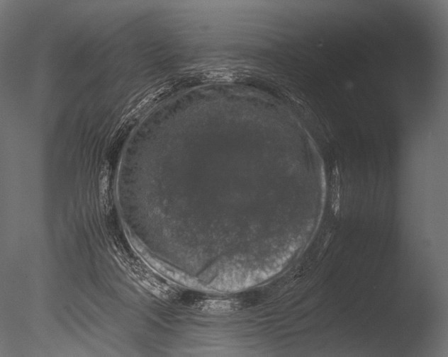 X0000085070314200703261238