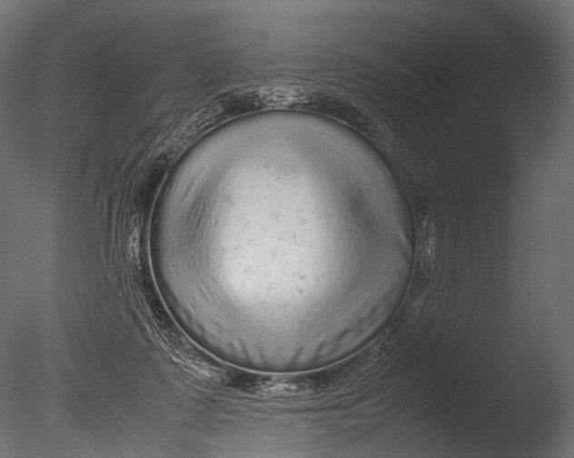 X0000085070315200703261238