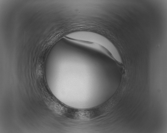 X0000085070317200703261238