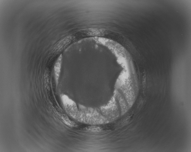 X0000085070322200703261238