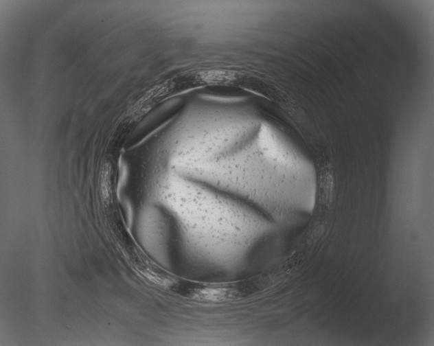 X0000085070323200703261238