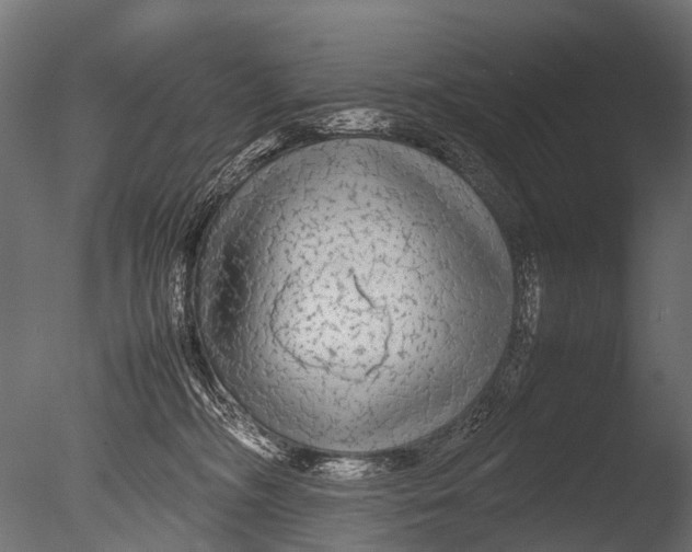 X0000085070326200703261238