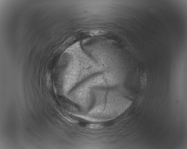 X0000085070327200703261238