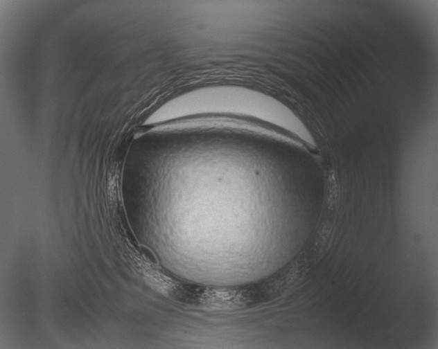 X0000085070329200703261238