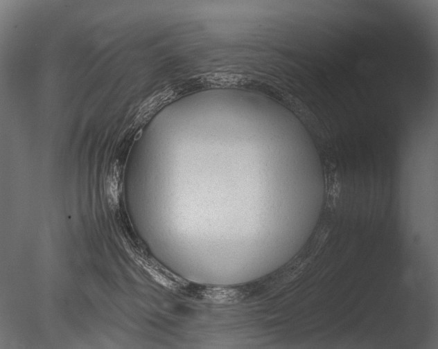 X0000085070334200703261238