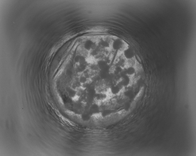 X0000085070337200703261237