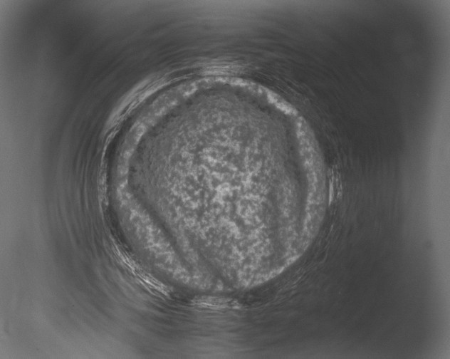 X0000085070339200703261237