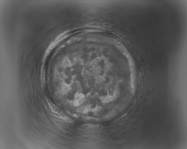 X0000085070343200703261237