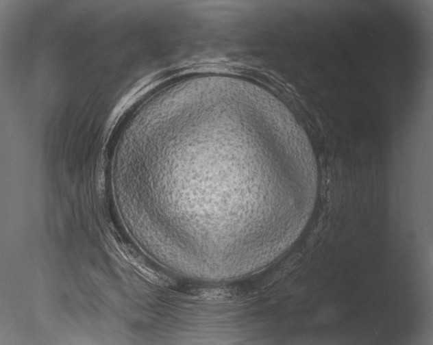 X0000085070344200703261237