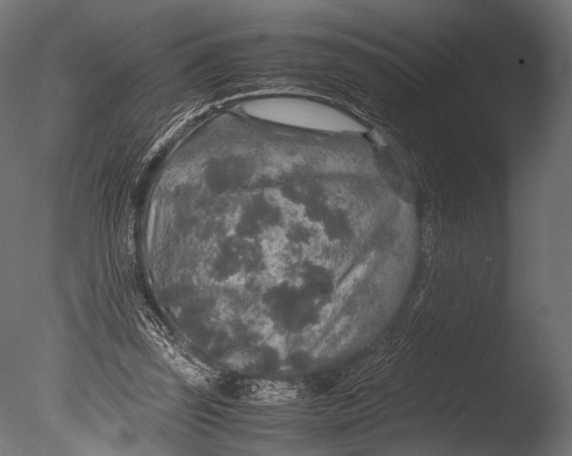 X0000085070347200703261237