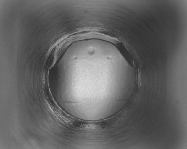 X0000085070348200703261237