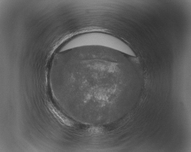 X0000085070350200703261237