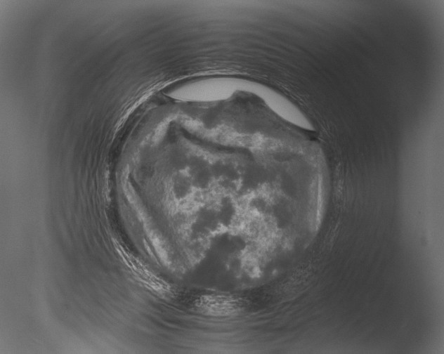 X0000085070351200703261237