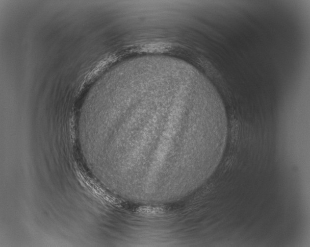 X0000085070354200703261237