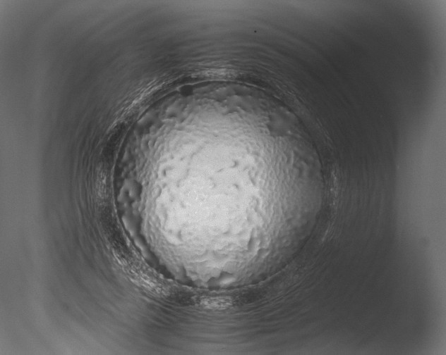 X0000085070355200703261237