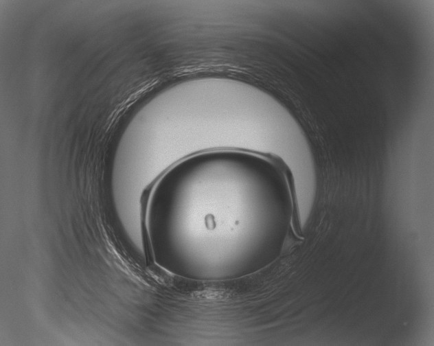 X0000085070356200703261237