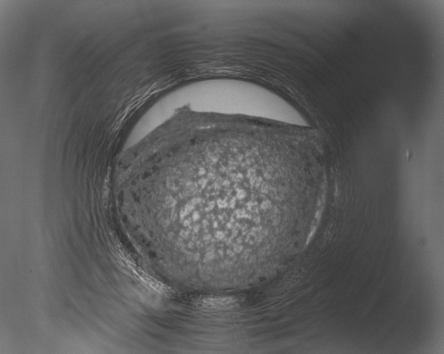 X0000085070357200703261237