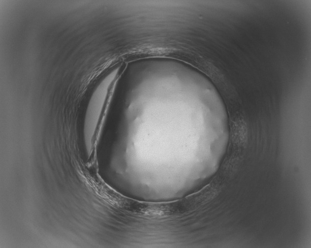 X0000085070358200703261237