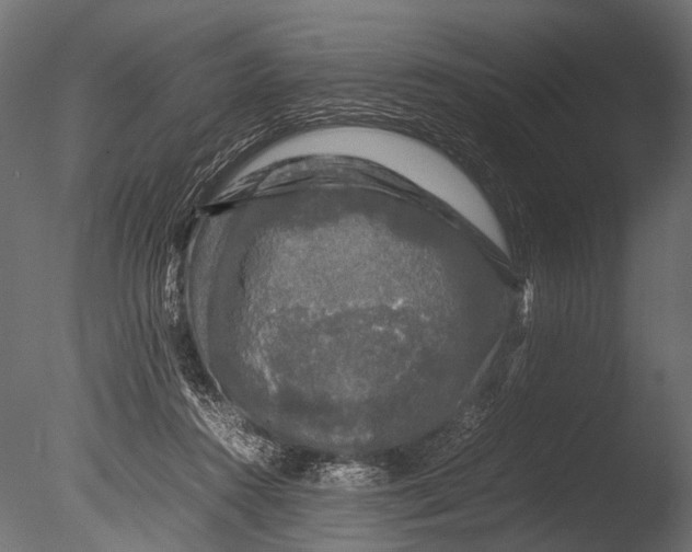 X0000085070360200703261237