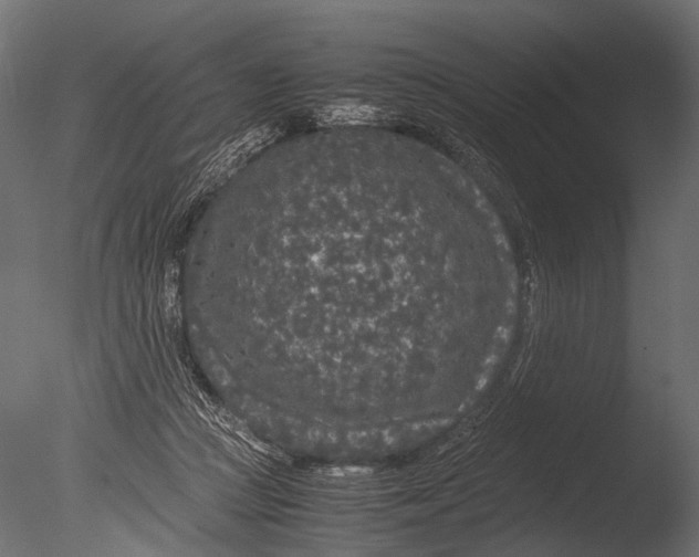 X0000085070361200703261238