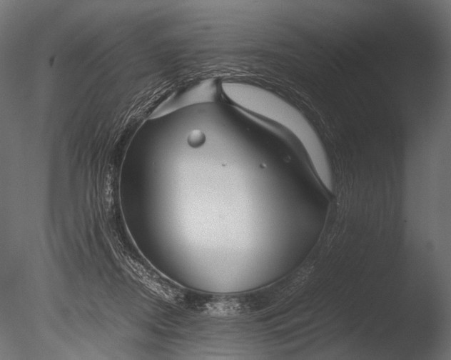 X0000085070362200703261238