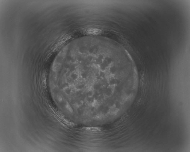 X0000085070363200703261238