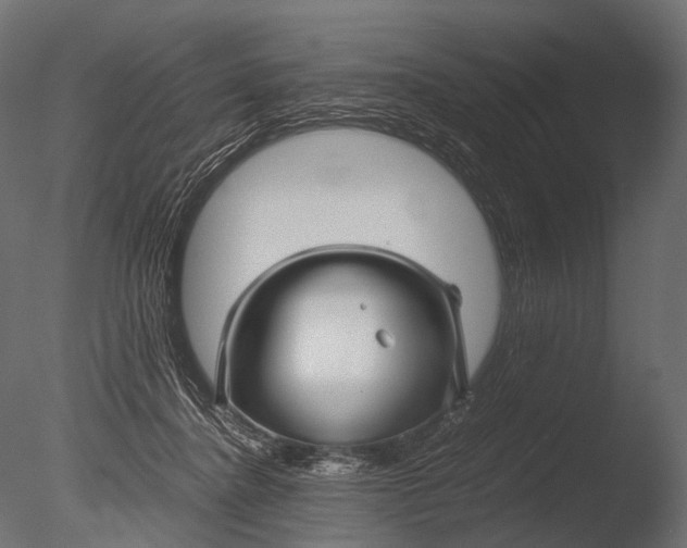 X0000085070364200703261238