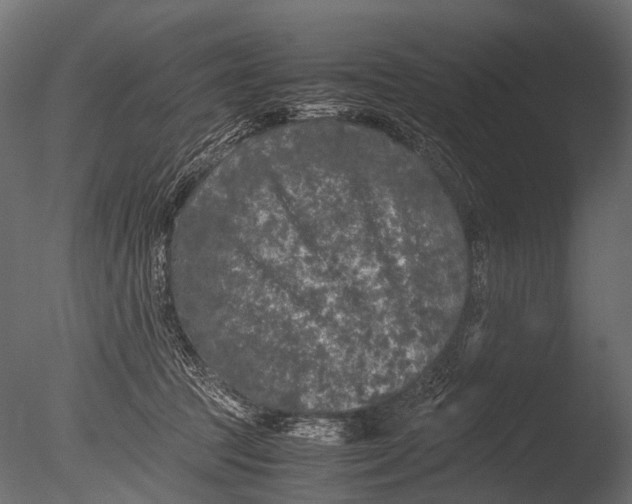 X0000085070369200703261238