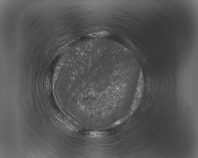 X0000085070371200703261238