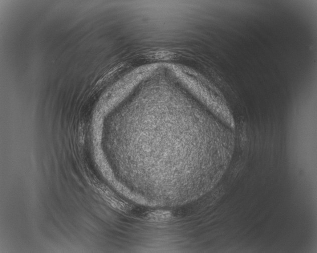 X0000085070374200703261238