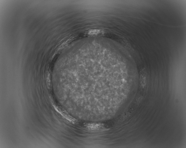 X0000085070375200703261238