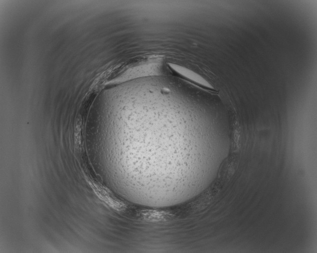 X0000085070379200703261238