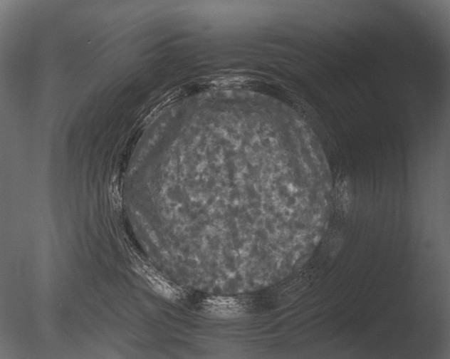 X0000085070381200703261238