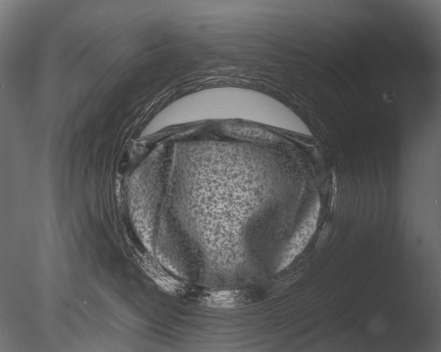 X0000085070382200703261238