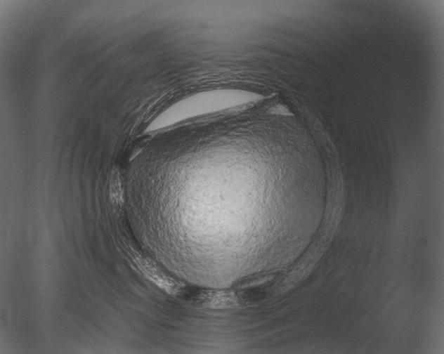 X0000085070384200703261238