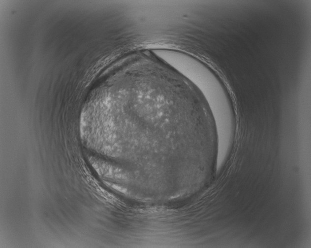 X0000085070385200703261237