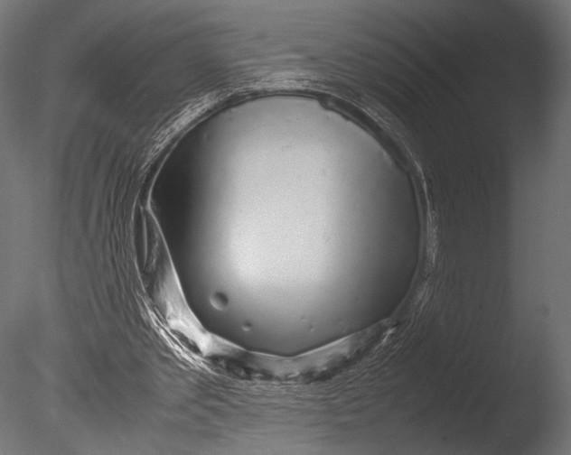 X0000085070389200703261237