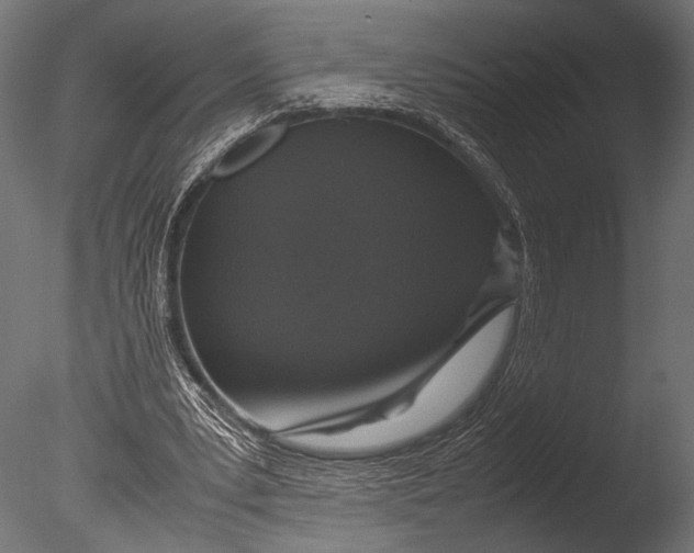 X0000085070391200703261237